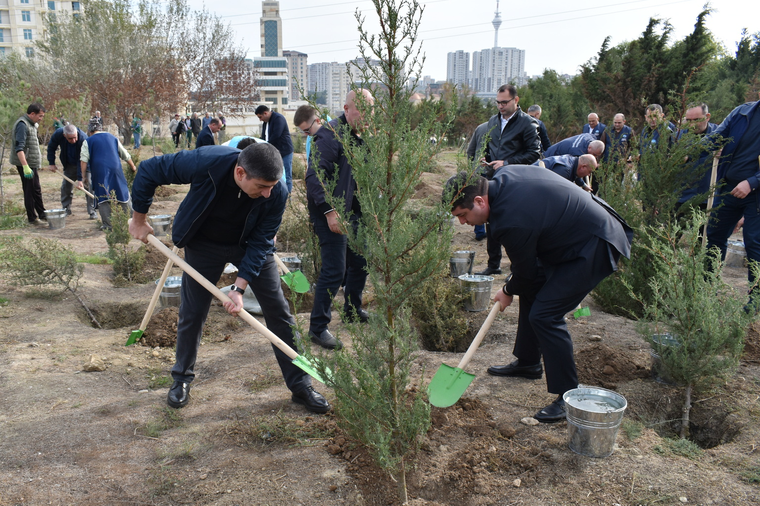 “Konstitusiya və Suverenlik ili” ilə əlaqədar olaraq Yasamal rayonunda genişmiqyaslı ağacəkmə aksiyası keçirilib.